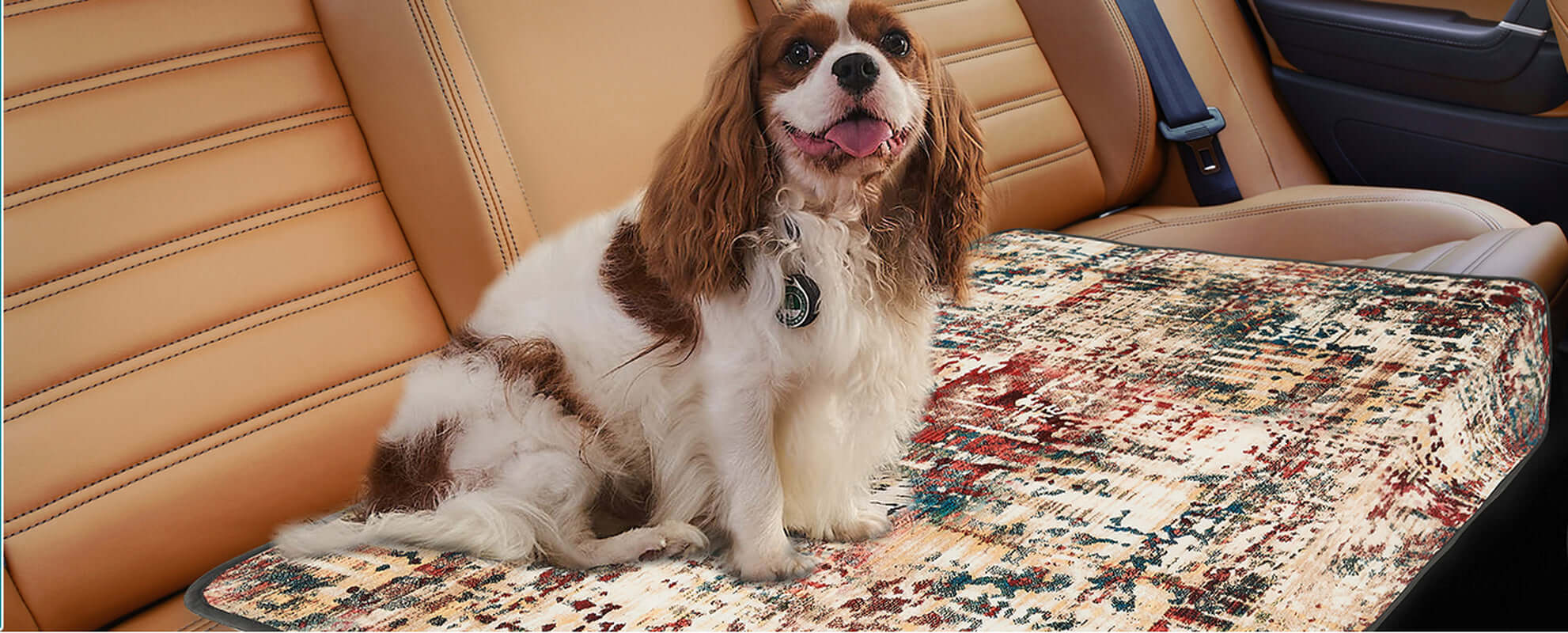 Qeils 2-Pack Washable Dog Pee Pads - Super Absorbent, Leakproof, Non-Slip Training Pads for Crate, Floor, and Couch - Perfect for Puppies and Whelping!