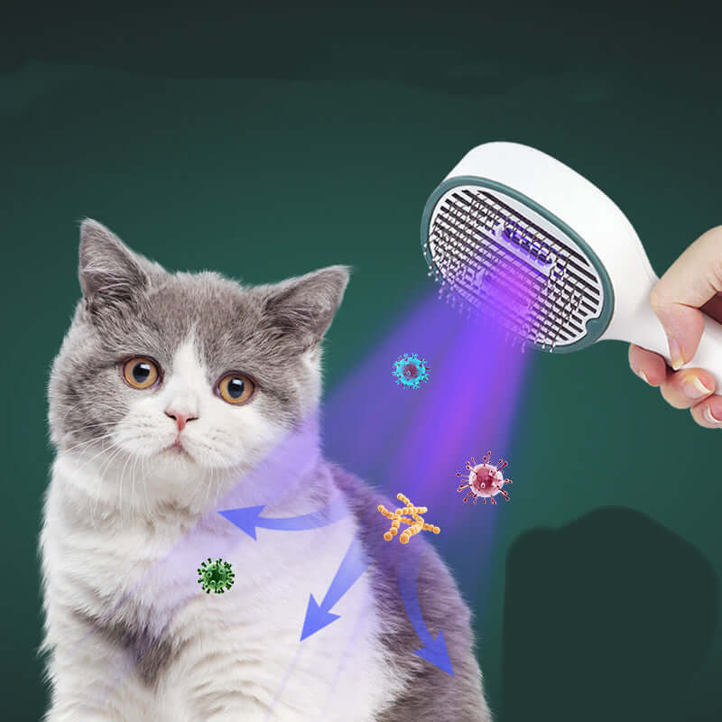 Hair Brush for Cat Sterilization Cleaner Dog Pet Supplies