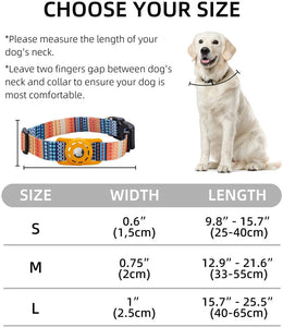 Dog and Cat Digital Print Collar